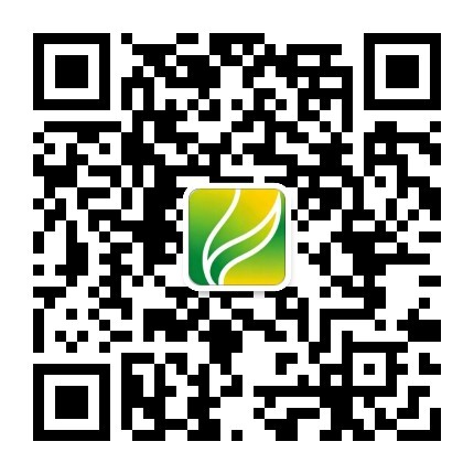 微信服务号二维码